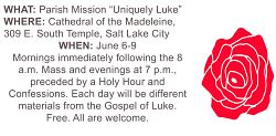 Cathedral to host parish mission on Gospel of Luke
