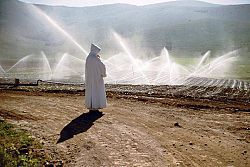 Men's spirituality seen through the lens of Trappist wisdom