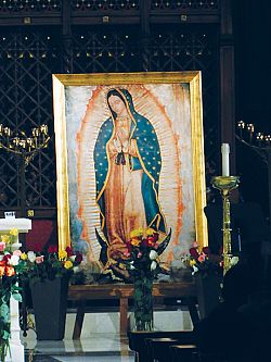 Celebraciones de Nuestra Se�ora de Guadalupe Alrededor de la Di&oacute;cesis
