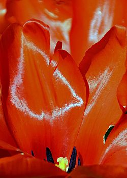 You Win Some, You Lose Some