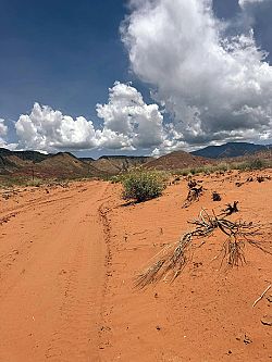 Reflections from a Walk in the Desert