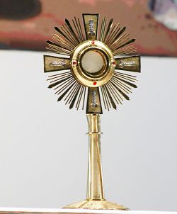 Avivamiento Eucar&iacute;stico a nivel parroquial 
