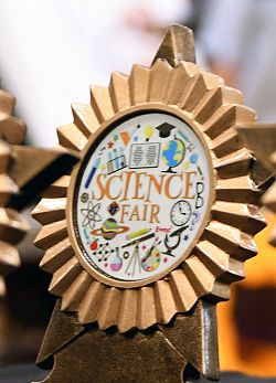 Hard work pays off for Young Scientist of the Year