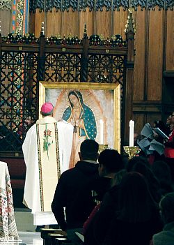 Cathedral celebrates Our Lady of Guadalupe 