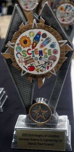 2025 Diocesan Science and Engineering Fair Winners