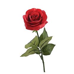 Oraci&oacute;n por el Papa Francisco