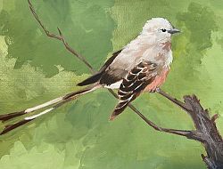 St. John the Baptist Middle School student wins Art of Conservation Songbird Art Contest