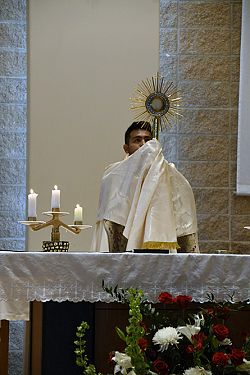Holy Hours to pray for priestly vocations precede Rite of Ordination
