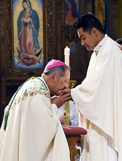 Ordination of Father Kenneth Parsad in photos